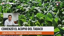 Comenzó el acopio del tabaco