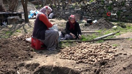 60 hanenin küle döndüğü köyde evleri yanan komşularına evlerini açtılar