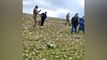 HDP'li Sürücü: Ceylanpınar TİGEM arazisinde izinsiz otlanan koyunlar gözaltına alındı; sanırız bu koyunlar da AKP’ye karşı