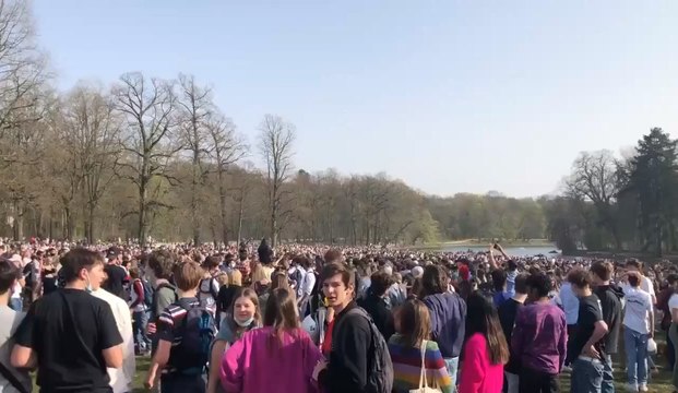 Plusieurs milliers de personnes au Bois de la Cambre, la police intervient