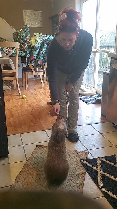 Cletus the Super Swine