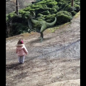 VELOCIRAPTOR DINASOUR (I saw a dinosaur) #Velociraptor, #dinasour, #AR,