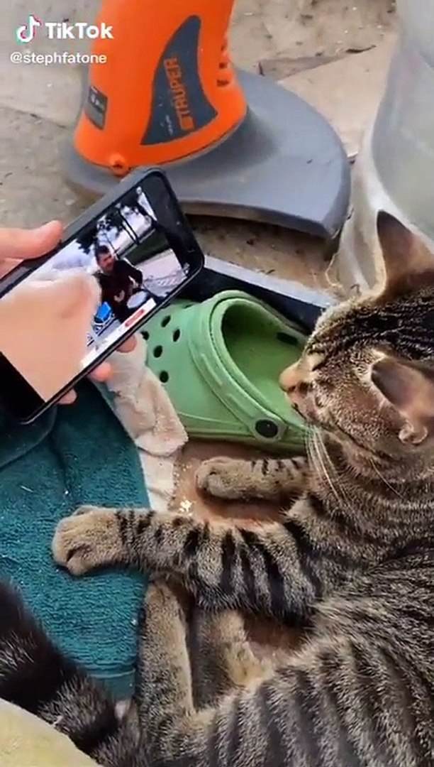 Best videos, Top videos, Viral videos Funny videos no. 09