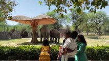 Delhi zoo reopens after year-long coronavirus closure