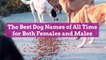 The Best Dog Names of All Time for Both Females and Males