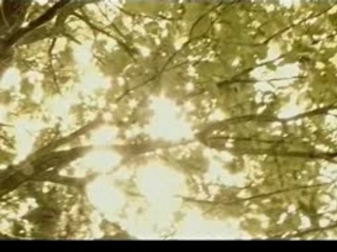 Saki - ai to iu kotoba