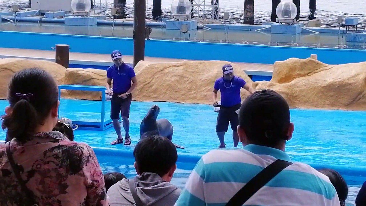 Laag Laag Sa Ocean PARK