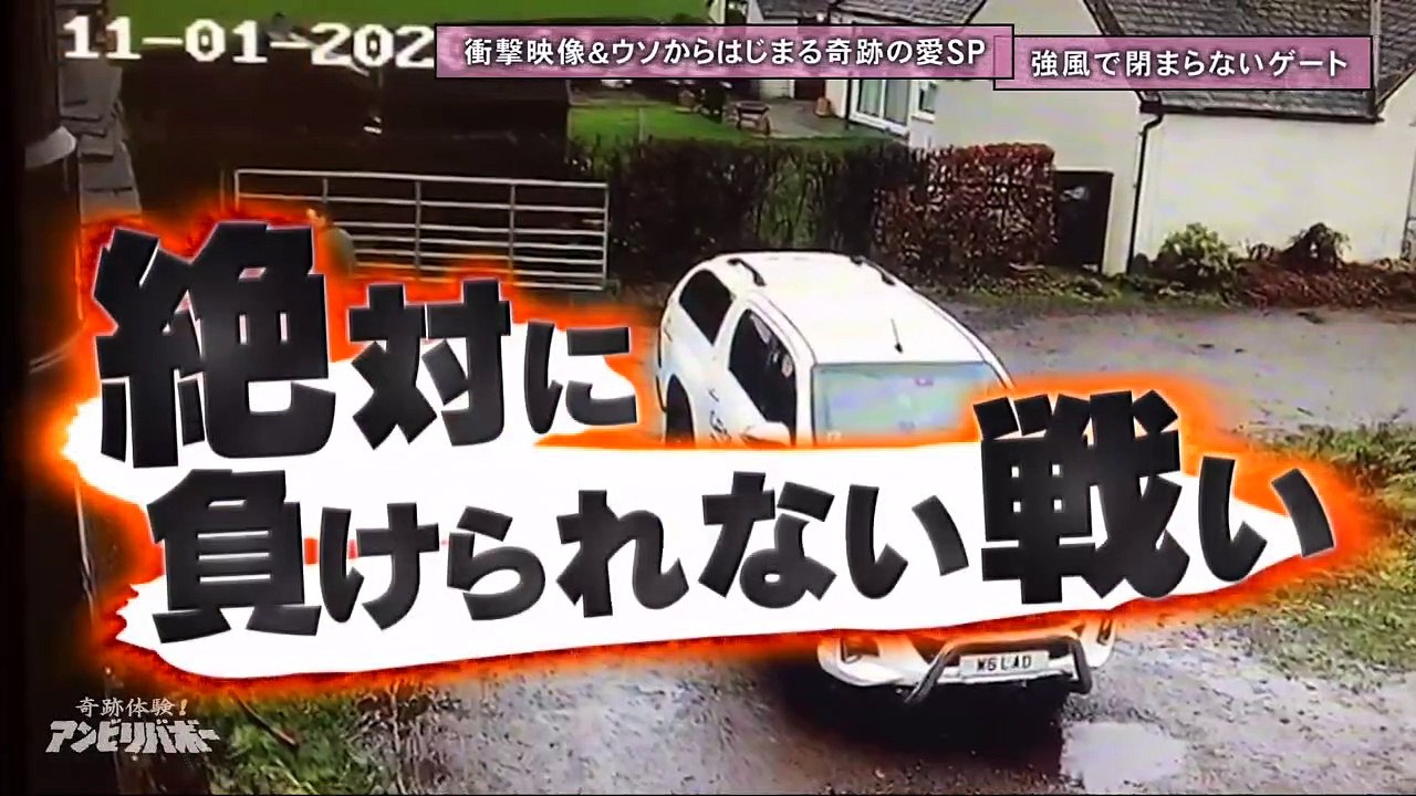 お笑い動画 - Youtubeバラエティ動画格納庫 更新 - 奇跡体験！アンビリバボー...