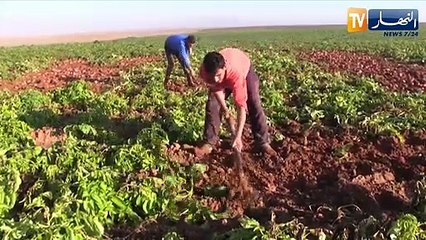 سافر معنا.. عين الدفلى