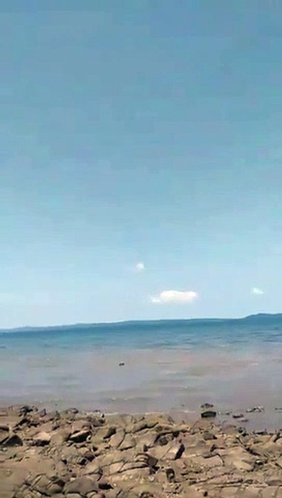 Summer 