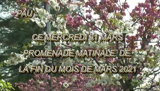 LES PROMENADES DE MICHOU64 W-D.D. - 31 MARS 2021 - CE MERCREDI 31 MARS PROMENADE MATINALE DE LA FIN DU MOIS DE MARS 2021
