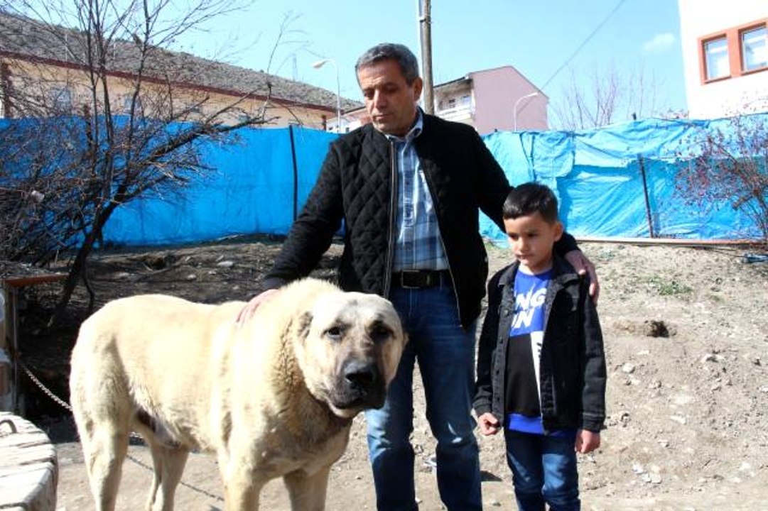 Köpek dile geldi: "Benim adım Ejder"