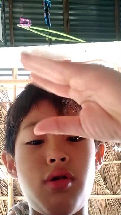 batang kulit 2