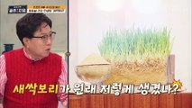 ❛이것❜으로 혈당 잡고 다이어트 성공하자✌ TV CHOSUN 210402 방송