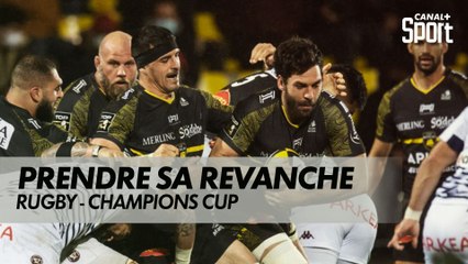 Le Stade Rochelais veut devenir grand