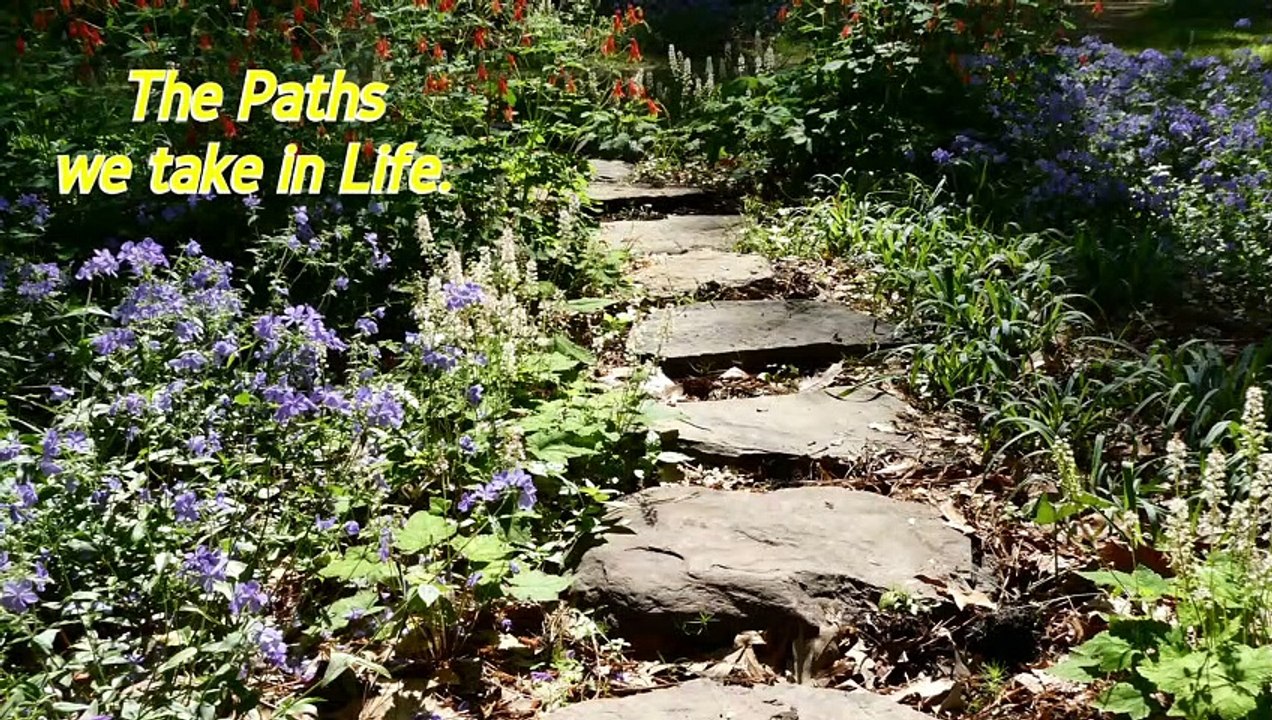 Paths We Take in Life