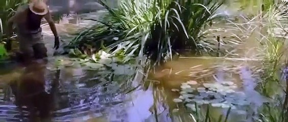 Burning Bodhi - Part 01