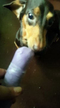 ang sarap ng ice candy!