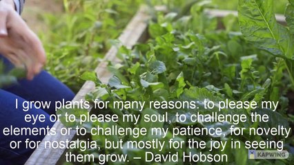 Tara Bernardin and how important Harvesting the earth is to peace of mind.