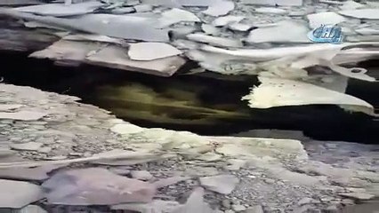 Şehit polisin intikamı böyle duyuruldu!