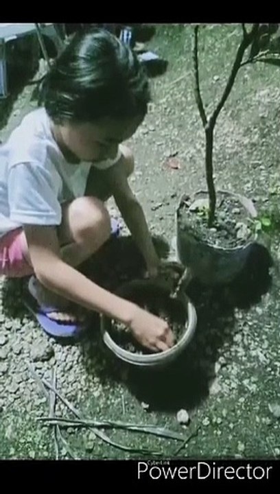 Plant Propagation
