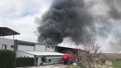 Son dakika! İplik fabrikasında yangın (1)