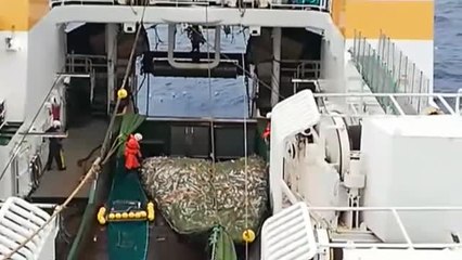 Petición de vacunas desde el Polo Norte