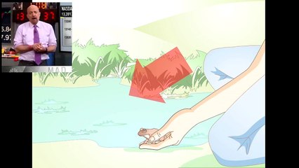 Care for a Hibernating Frog