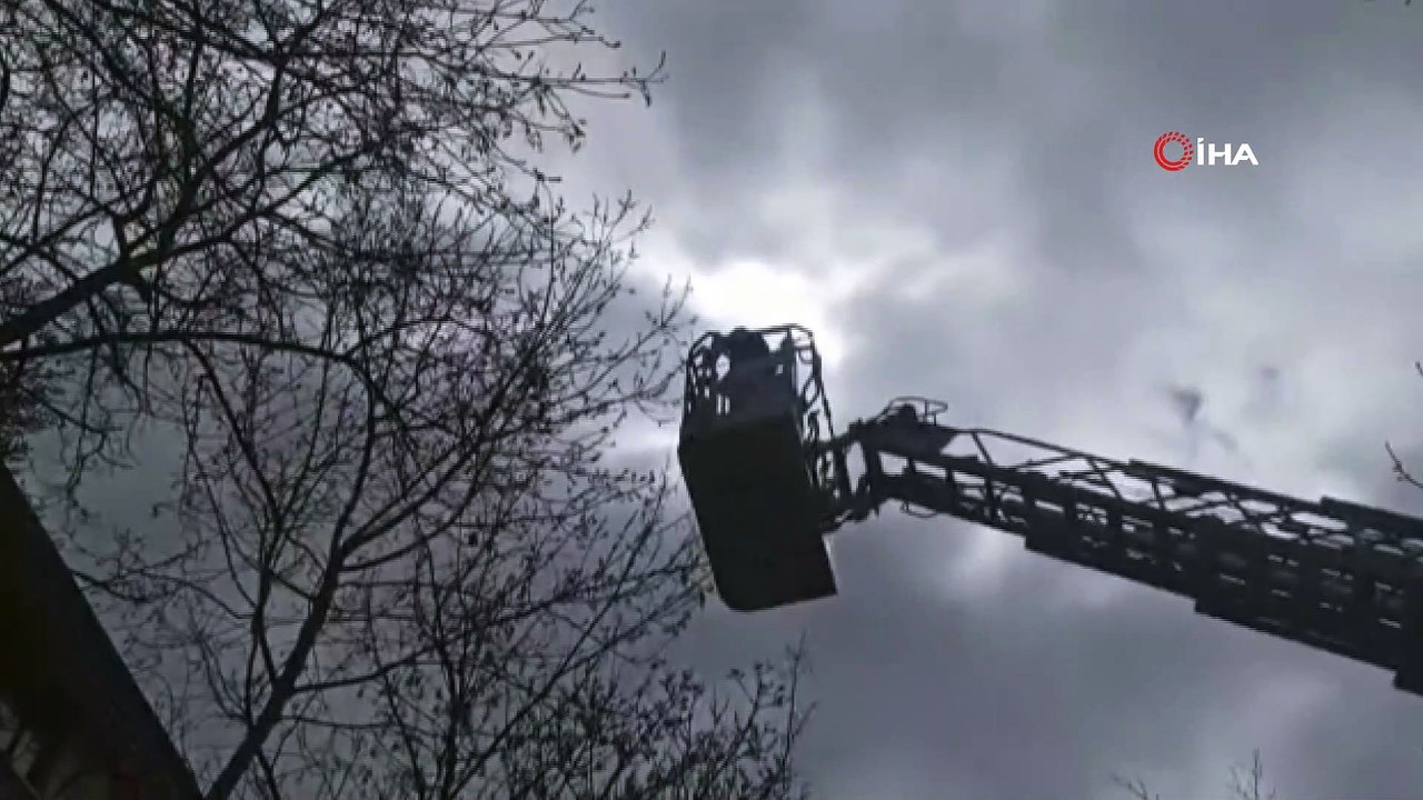 Ağaca takılan güvercini itfaiye kurtardı