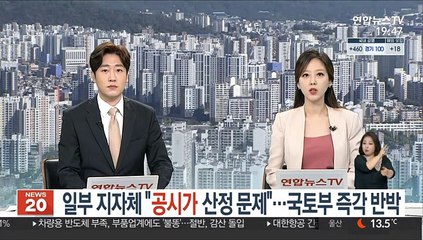 일부 지자체 "공시가 산정 문제"…국토부 즉각 반박