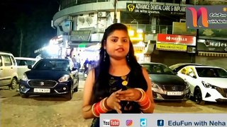 Food Vlog @ Curry Mantra Sector 9 Rohini Delhi #vlog