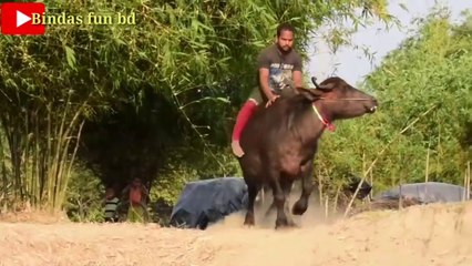 Must Watch Funny  Video 2020 Comedy Video 2020 try to not lough...