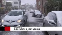 De la neige à Bruxelles au printemps