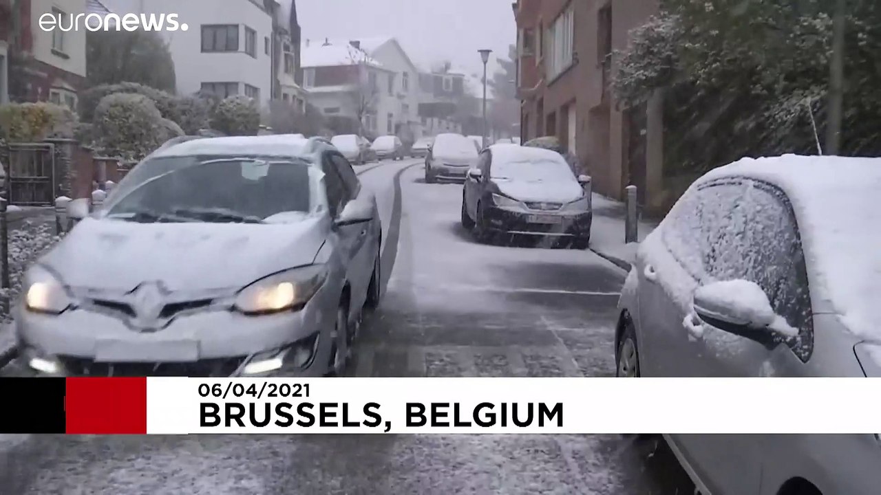 De la neige à Bruxelles au printemps