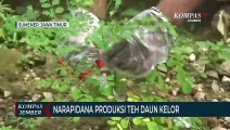 Narapidana Produksi Teh Daun Kelor dalam Rutan Lalu Dijual di Warung