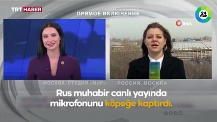 Rus muhabir canlı yayında mikrofonunu köpeğe kaptırdı