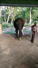 लखीमपुर के सैलानियों को रास आ रहा नेशनल पार्क