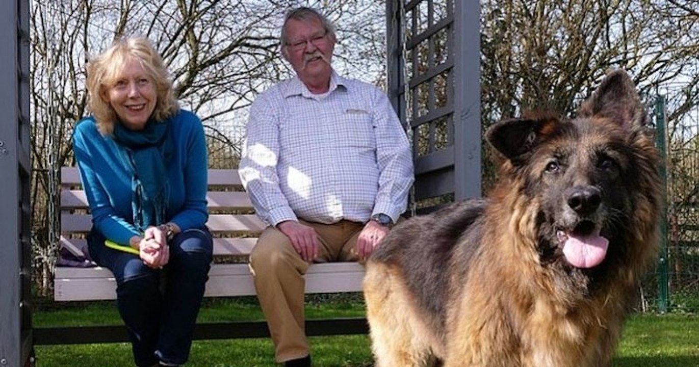 Une chienne, jetée dans une rivière avec une pierre attachée à son cou, a été adoptée par un couple aimant