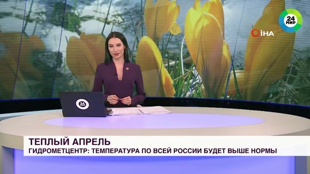 - Rus muhabir mikrofonunu canlı yayında köpeğe kaptırdı