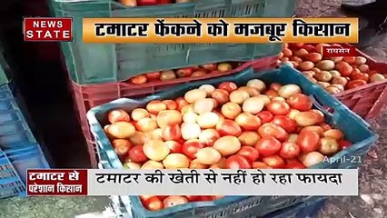 रायसेन में किसान टमाटर फेंकने को मजबूर, देखें रिपोर्ट