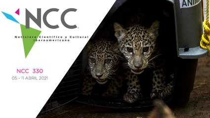 Noticiero Científico y Cultural Iberoamericano, emisión 330. 05 al 11 de abril del 2021