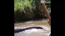 Un énorme anaconda tente de faire chavirer leur barque