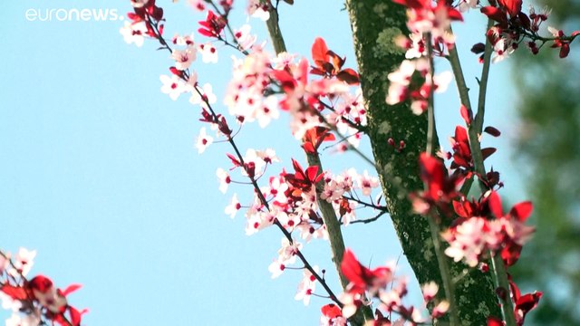 Франция: профессиональное выгорание врачей