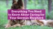 Everything You Need to Know About Caring for Your German Shepherd