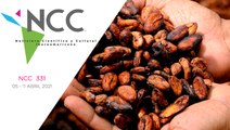 Noticiero Científico y Cultural Iberoamericano, emisión 331. 05 al 11 de abril del 2021