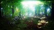 Top VR 360| Virtual Reality| Dancing Trees| Firefly| 360° | VR tour| Part 2| Jackie Varahan