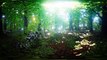 Top VR 360| Virtual Reality| Dancing Trees| Firefly| 360° | VR tour| Part 2| Jackie Varahan