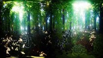 Top VR 360| Virtual Reality| Dancing Trees| Firefly| 360° | VR tour| 2-in-1| Jackie Varahan