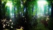 Top VR 360| Virtual Reality| Dancing Trees| Firefly| 360° | VR tour| 2-in-1| Jackie Varahan