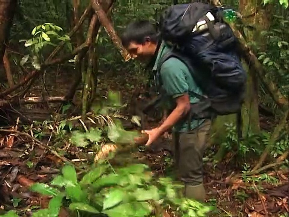 SUR_LES_TRACES_DE JULES_CREVAUX.mp4(1)